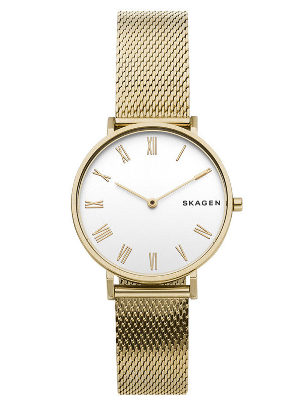 Часы Skagen Hald Gold Tone Silk SKW2713