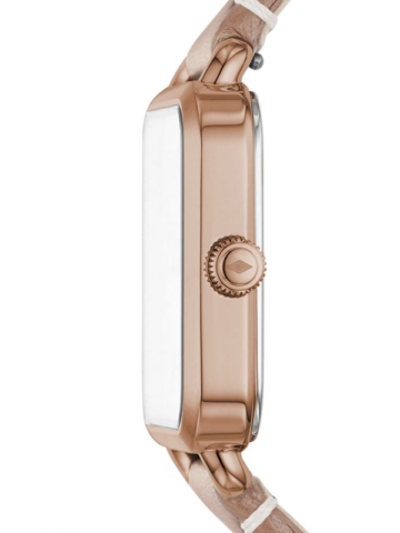 es4254c2 FOSSIL TREND ES4254