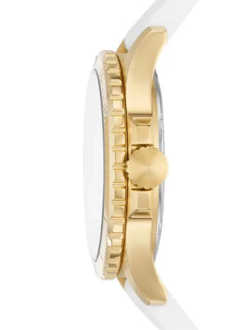 es5286-1 FOSSIL FB-01 ES5286