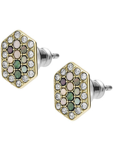 jf03859710-1 FOSSIL VAL EARRING JF03859710