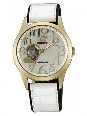 orient-cdb01001w0_1 ORIENT CDB01001W0